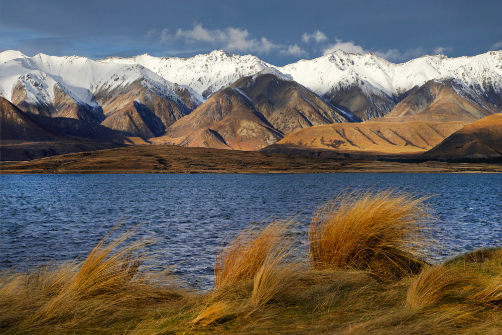 Golden Grass Mountain Lake by Dragan Keca — canvas wall art