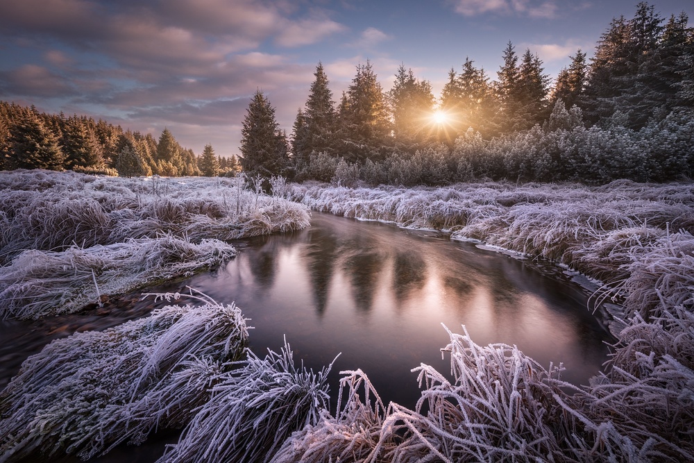 Golden Winter Stream by Daniel Řeřicha — canvas wall art