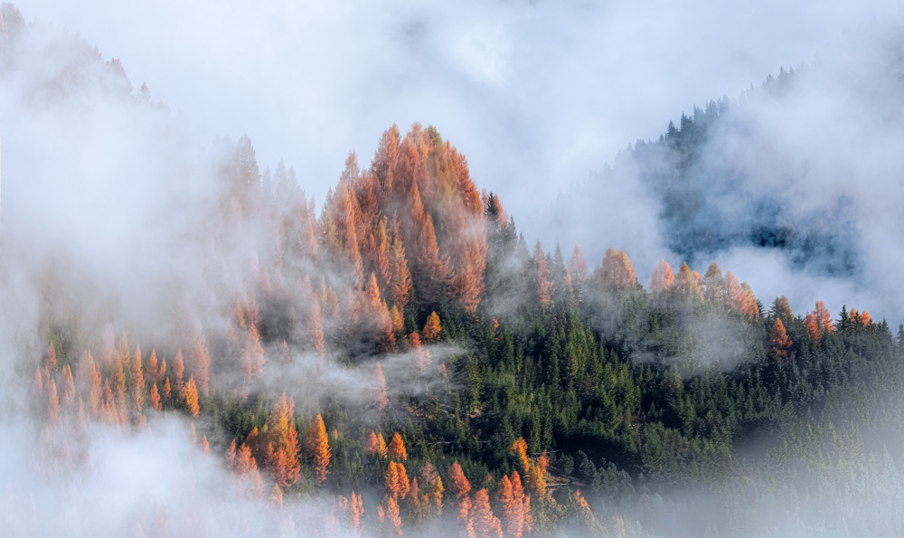 Misty Autumn Mountains by Yanny Liu — canvas wall art
