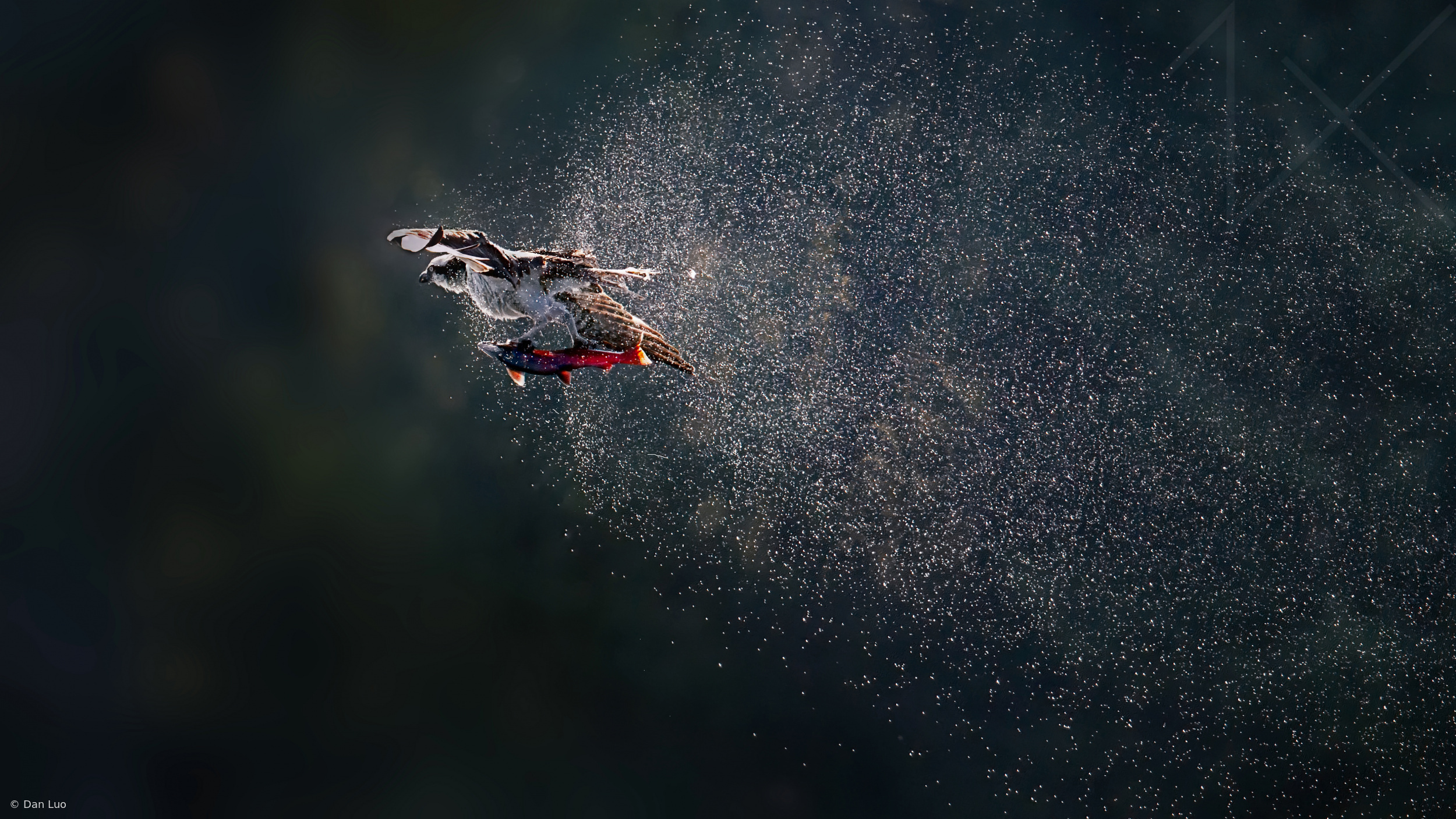 When Water Became Diamonds by Dan Luo