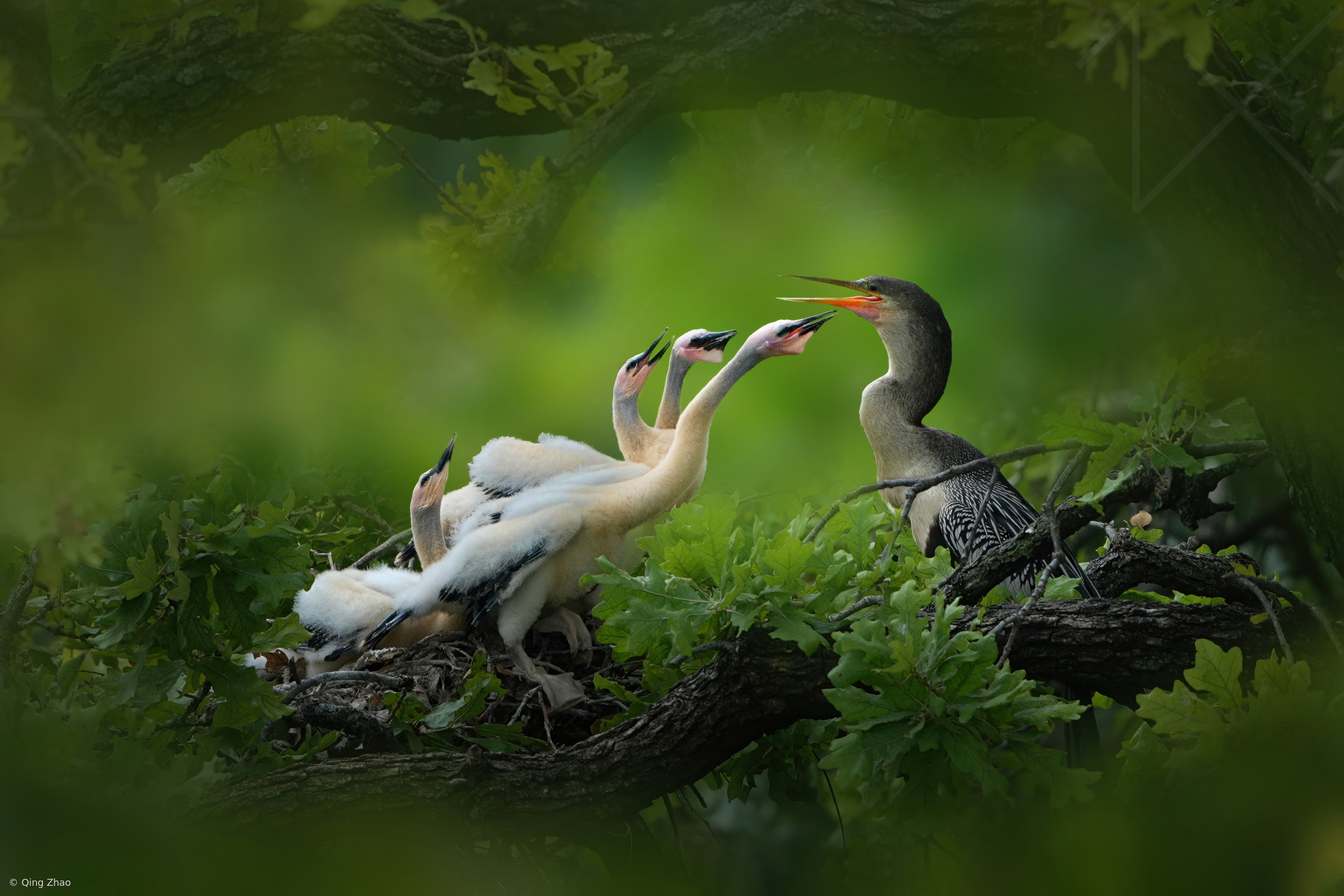 Gathered Around Mother
