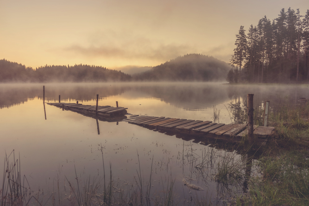Misty Lake Pier by Zlatina Peeva — canvas wall art