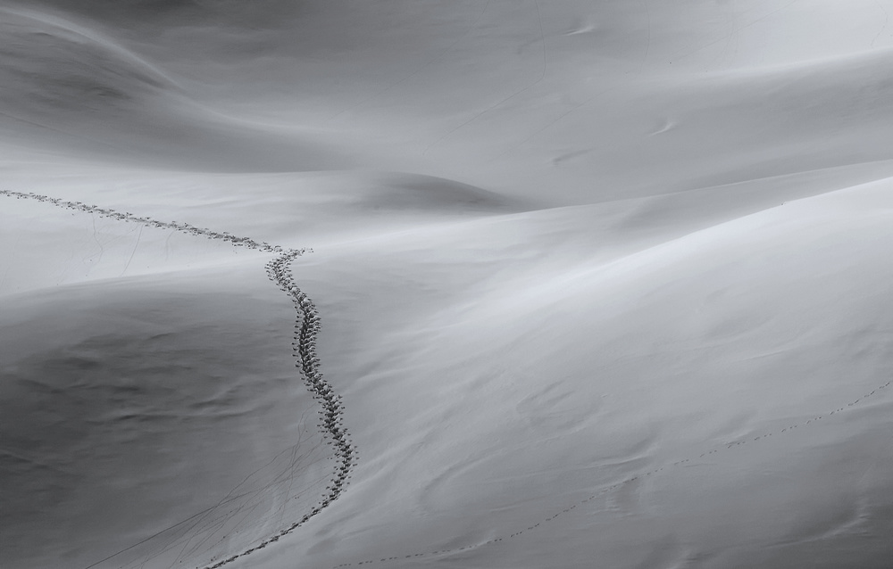 Winding Snow Path by Uschi Hermann — canvas wall art