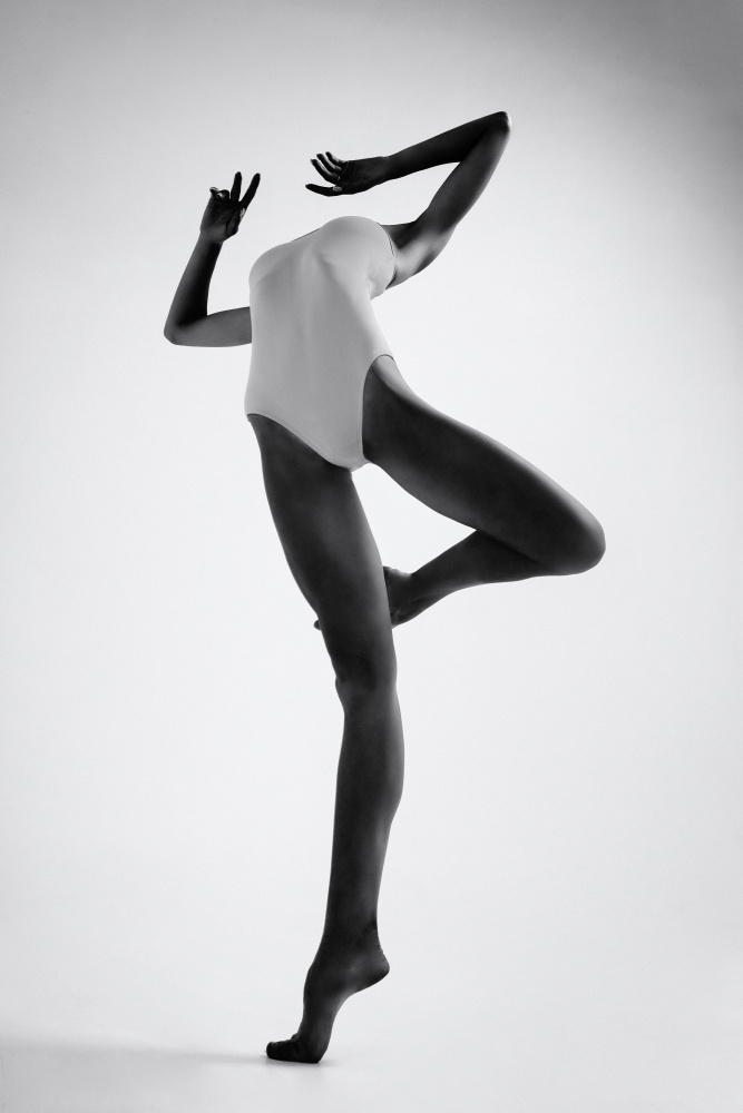 Dancing Figure Study by Alexandr — canvas wall art