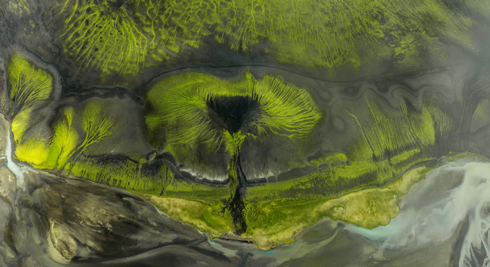 Aerial Green Landscape Patterns by Stan Huang — canvas wall art
