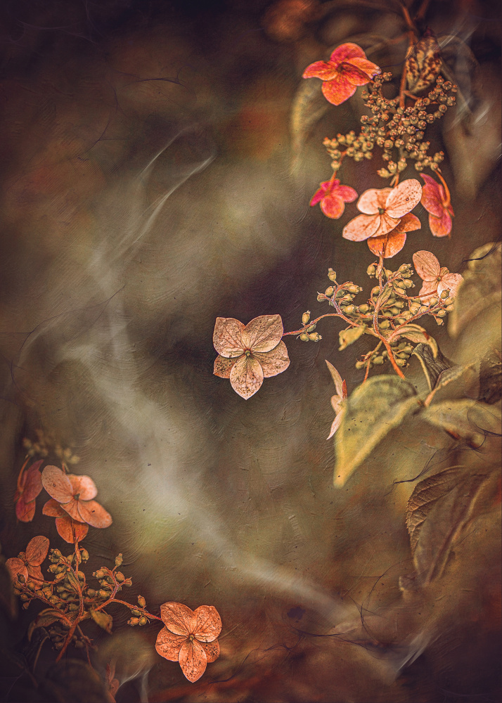 Fading Autumn Blooms by Kristina Zvinakeviciute — canvas wall art