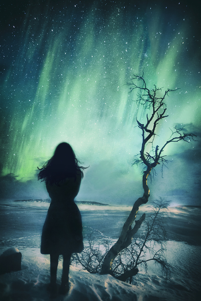 Northern Lights Solitude by Manu Allicot — canvas wall art