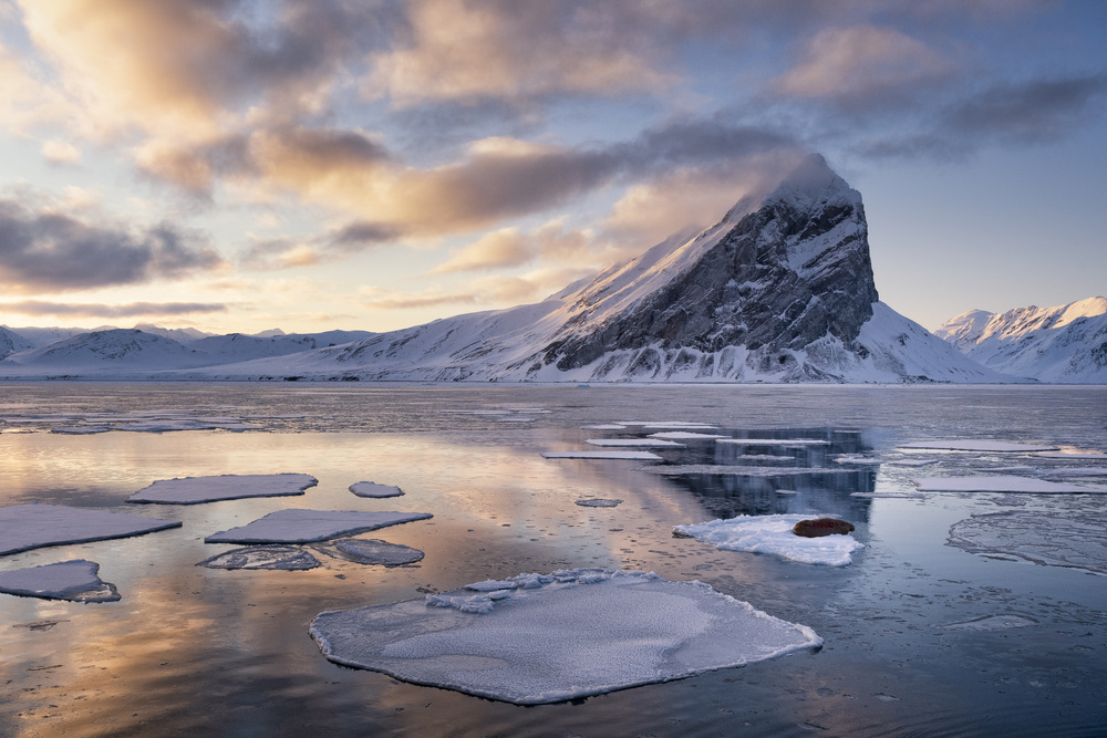 Walrus on Arctic Ice by Susanne Landolt — canvas wall art