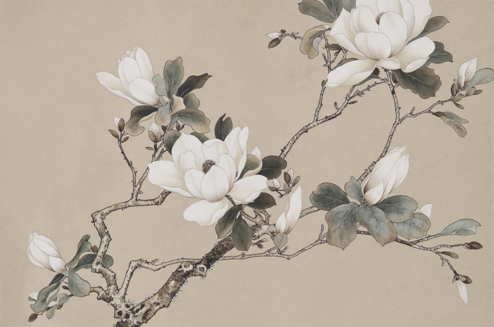 Chinoiserie Magnolia 005 by Andrea Haase — canvas wall art
