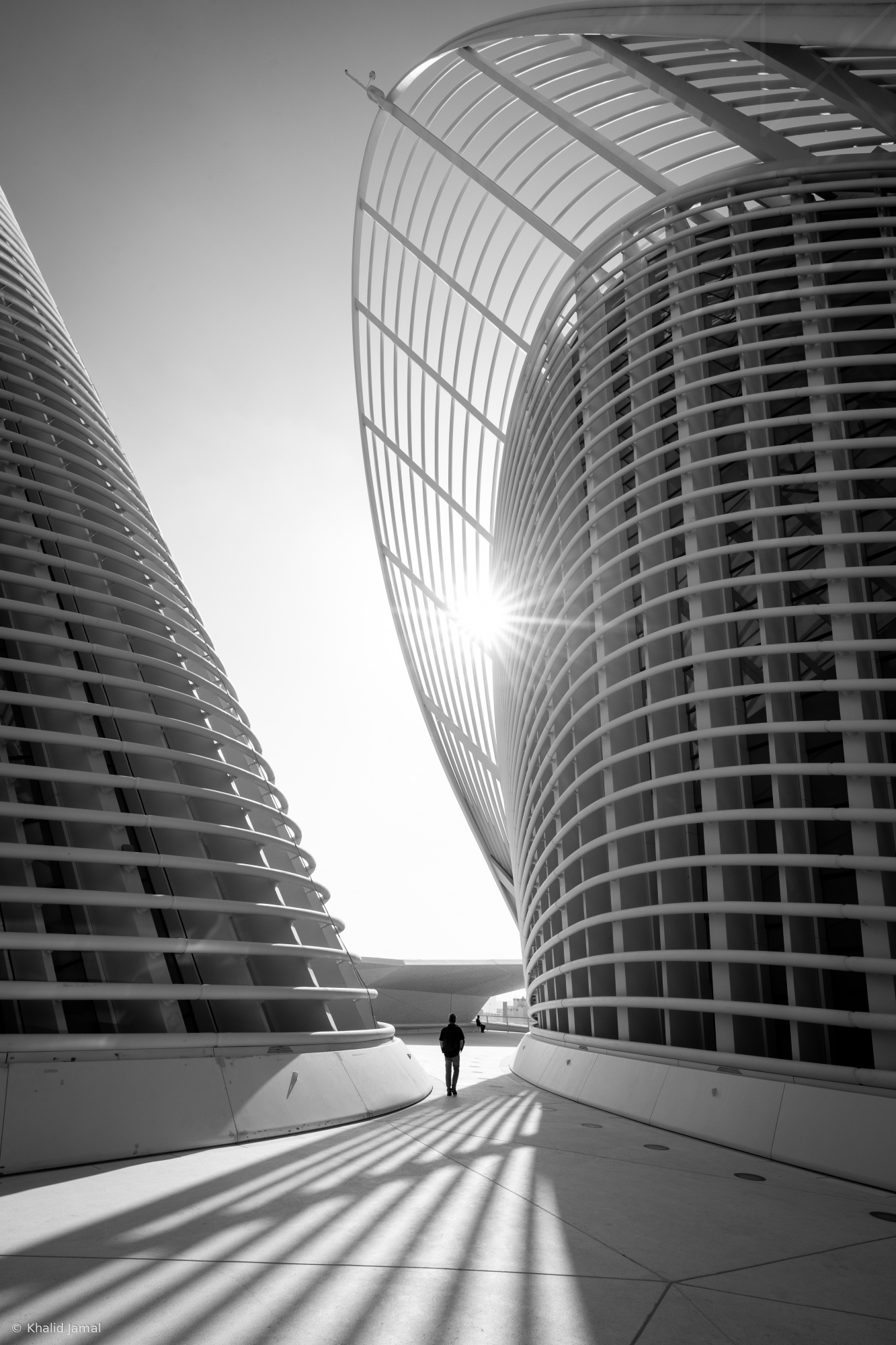 Between Form and Light