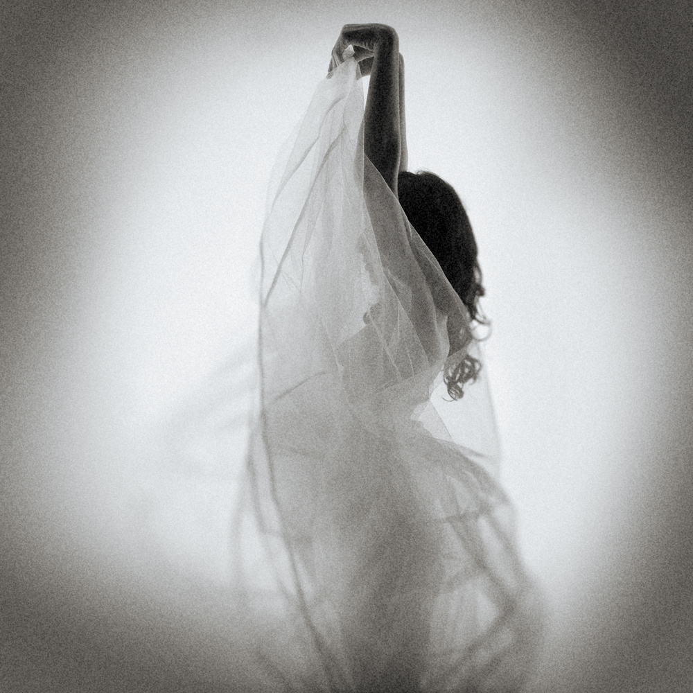Graceful Fabric Dance by Mel Brackstone — canvas wall art