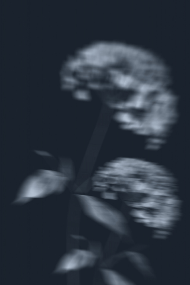 Mysterious Blurred Flowers by THE MIUUS STUDIO — canvas wall art