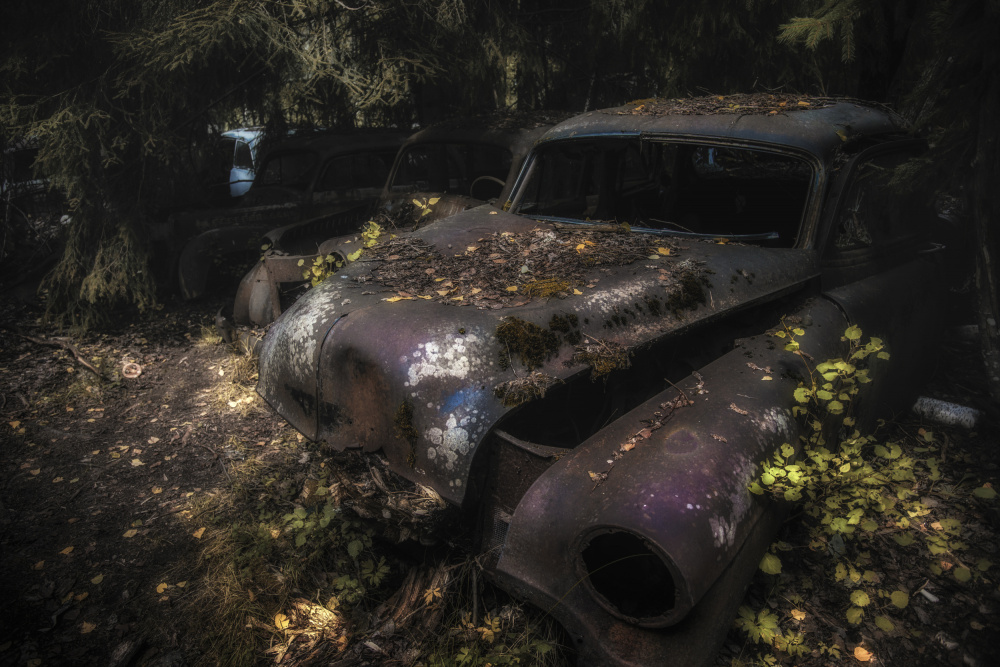 Forgotten Forest Cars by Benny Pettersson — canvas wall art