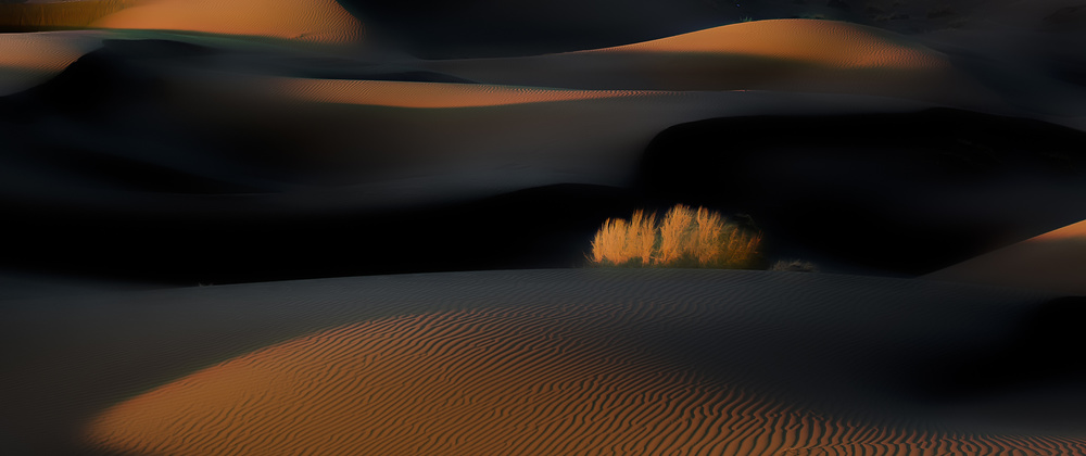 Golden Hour Desert Dunes by Asef Azimaie — canvas wall art