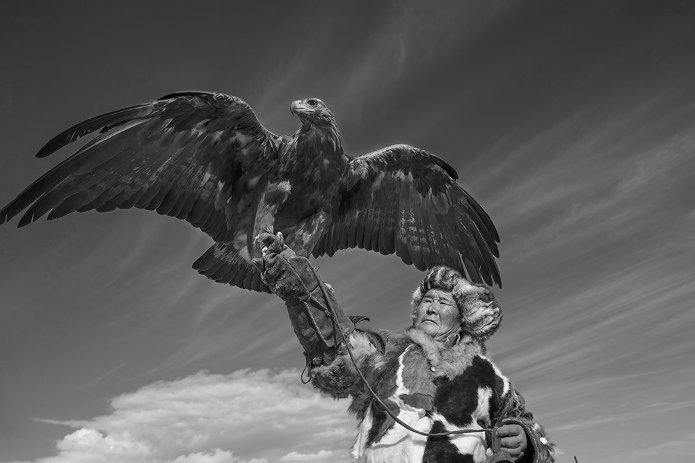Eagle Hunter Spirit by Libby Zhang — canvas wall art