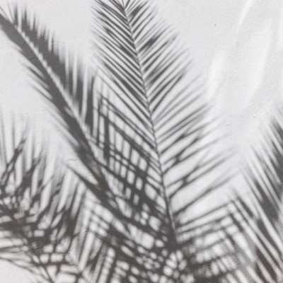 Tropical Shadow Play