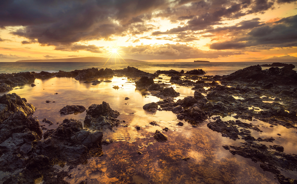 Golden Hour Tide Pools by Matt Anderson — canvas wall art