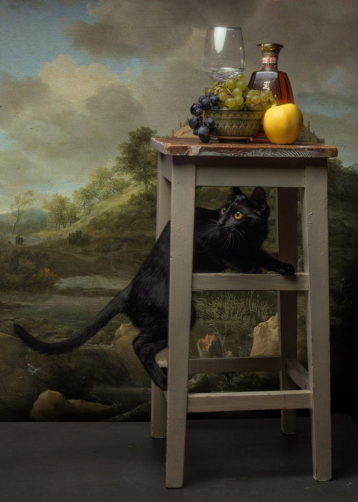 Curious Cat Still Life by Paul Adrian Chis — canvas wall art