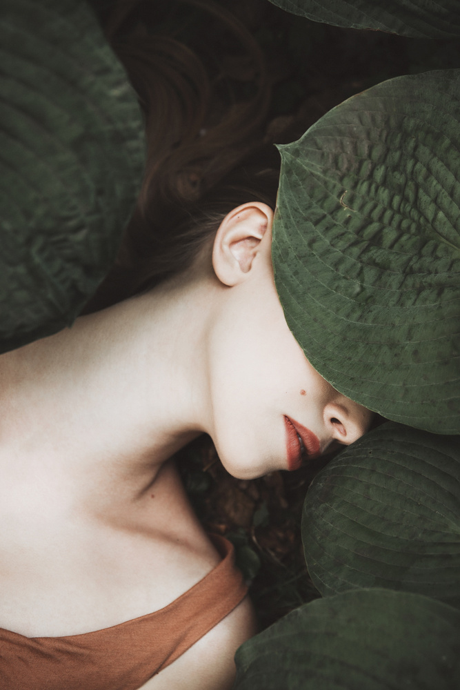 Hidden In Leaves by Dorota Gorecka — canvas wall art