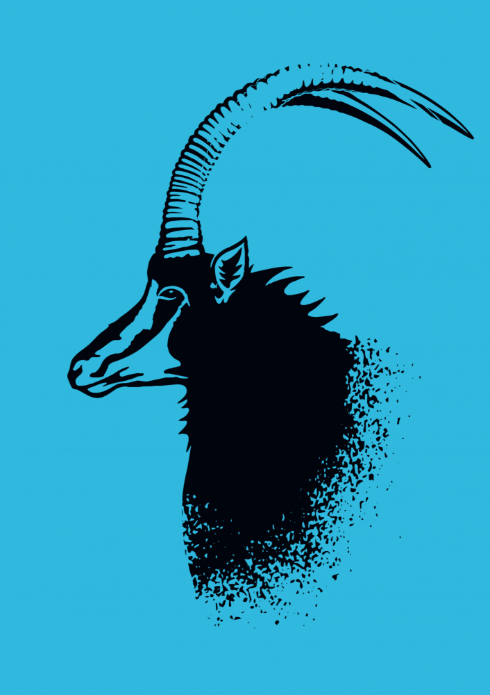 Sable Antelope Silhouette by Carlo Kaminski — canvas wall art
