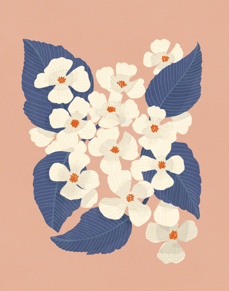 White Dogwoods by Katie O'Shea — canvas wall art