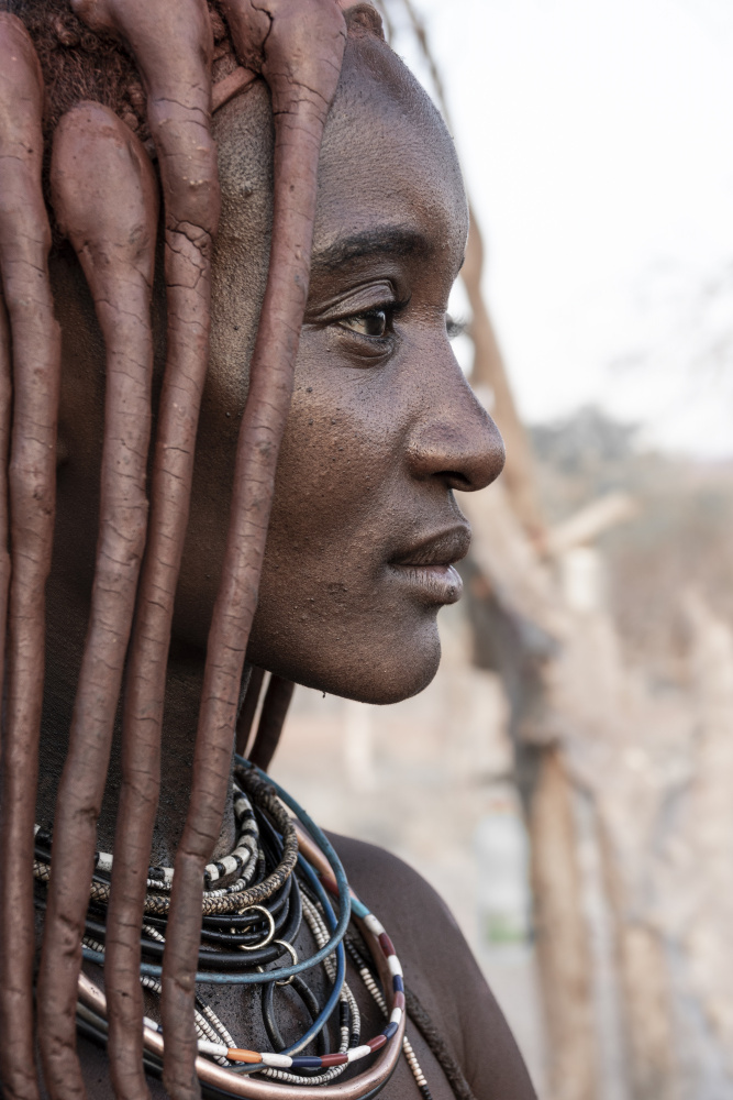 Dignified Himba Portrait by Elena Molina — canvas wall art