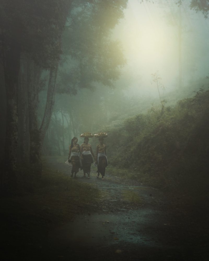 Misty Balinese Forest Walk by Rudi Gunawan — canvas wall art
