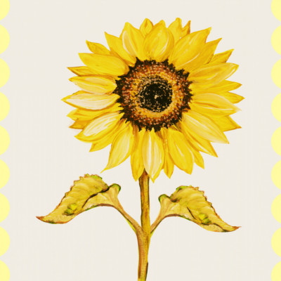 Golden Sunflower Bloom