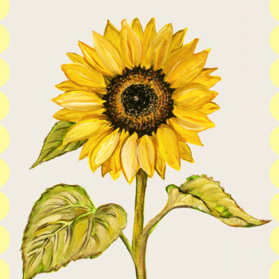 Golden Sunflower Botanical