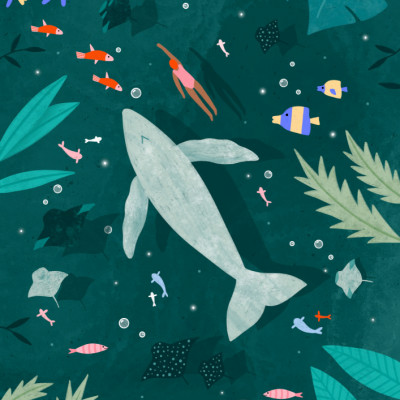 Swimming with a Whale