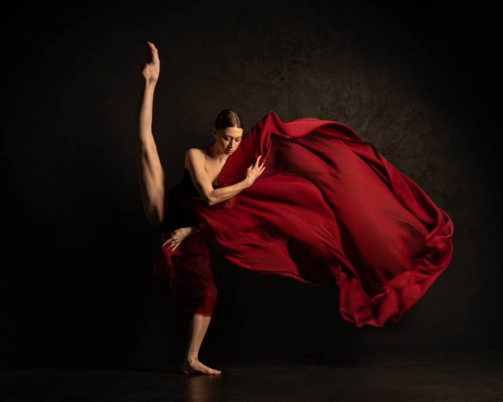 Graceful Dancer Red Fabric by Natalya Sleta — canvas wall art
