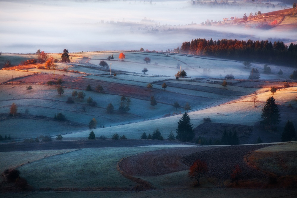 Misty Autumn Sunrise by Amir Bajrich — canvas wall art