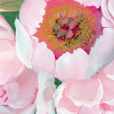 Pink Peony Blossom