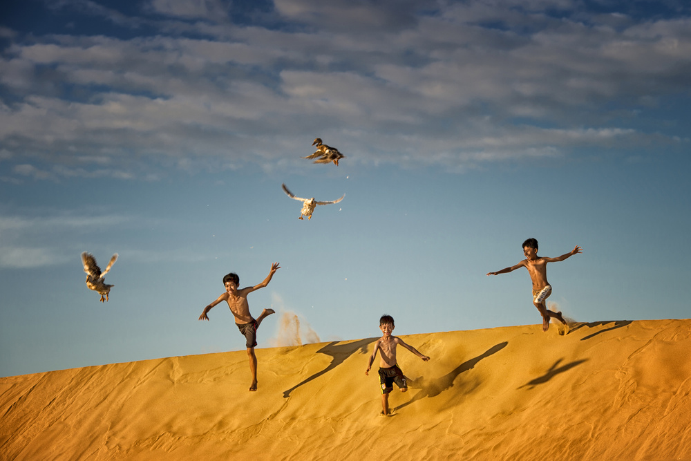 Playful Boys Flying Ducks by Burak Senbak — canvas wall art