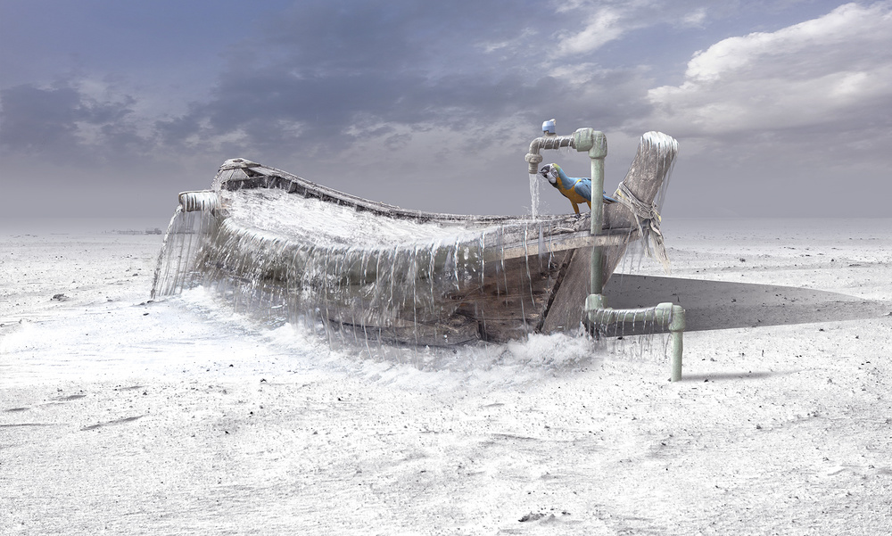 Frozen Boat And Macaw by Sulaiman Almawash — canvas wall art