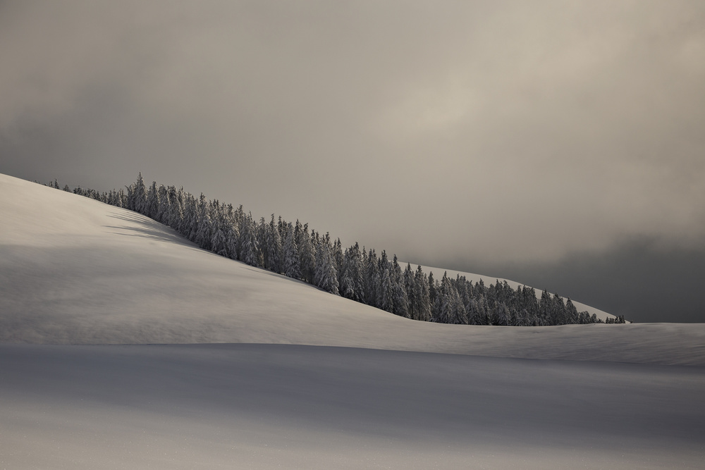 Serene Winter Hills by Lazar Ioan Ovidiu — canvas wall art