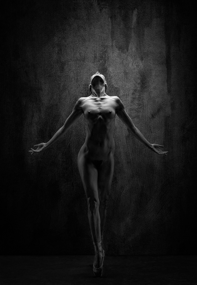 Graceful Ballet Nude by Luc Stalmans — canvas wall art
