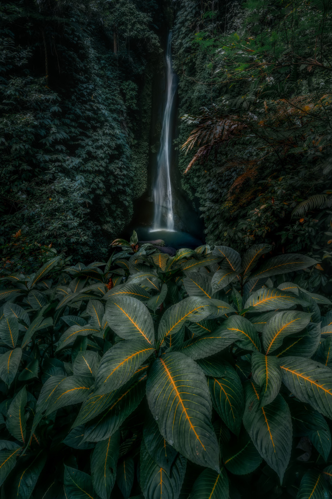 Tropical Forest Waterfall by R Suguri — canvas wall art