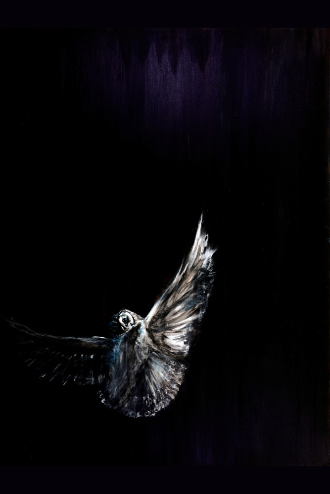 Nocturnal Owl Flight by RodMacIver — canvas wall art