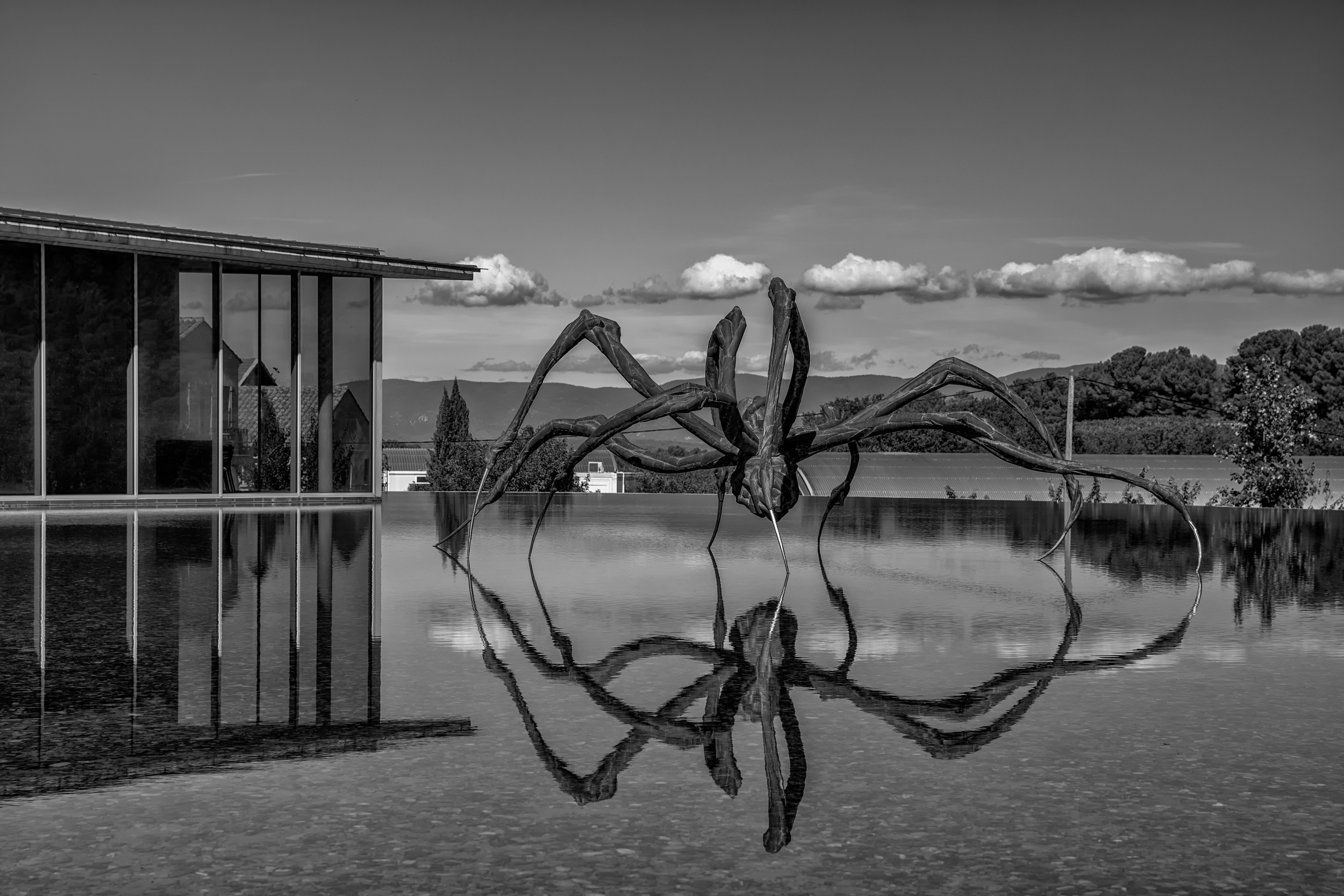 spider's home by Urs Zimmermann