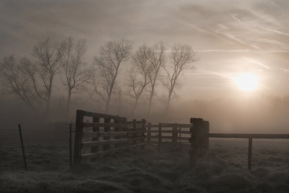 Misty Country Morning by Yvette Depaepe — canvas wall art