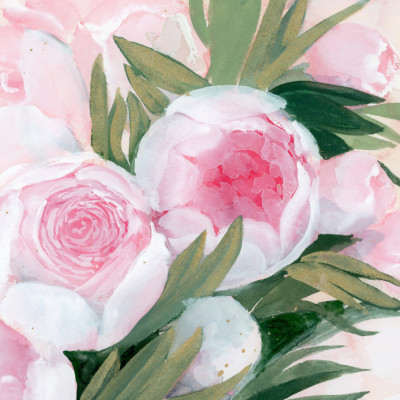 Pink Peony Blooms