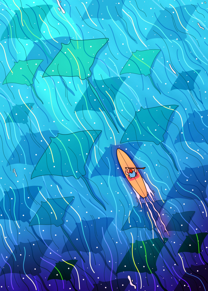 Paddling with Manta Rays by Stephen Wade — canvas wall art