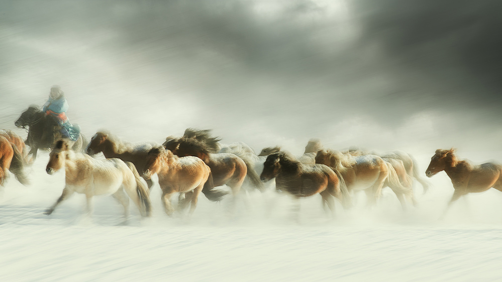 Wild Horses Winter Run by Shu-Guang Yang — canvas wall art