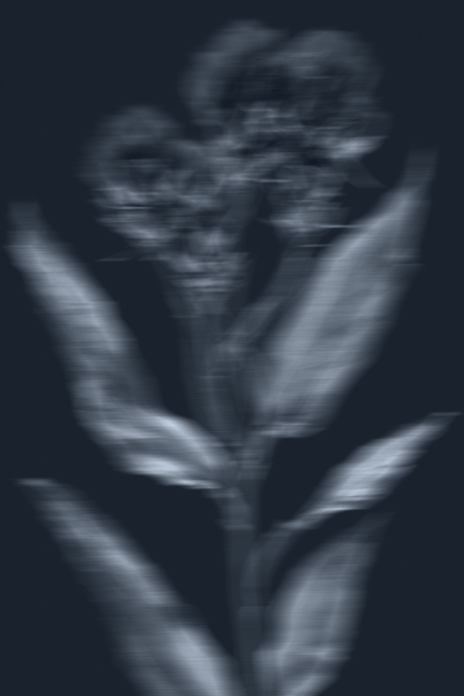 Ethereal Dark Bloom by THE MIUUS STUDIO — canvas wall art