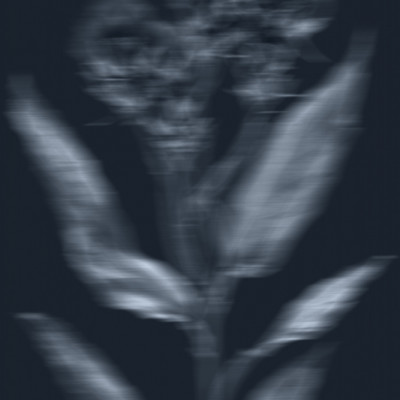 Ethereal Dark Bloom