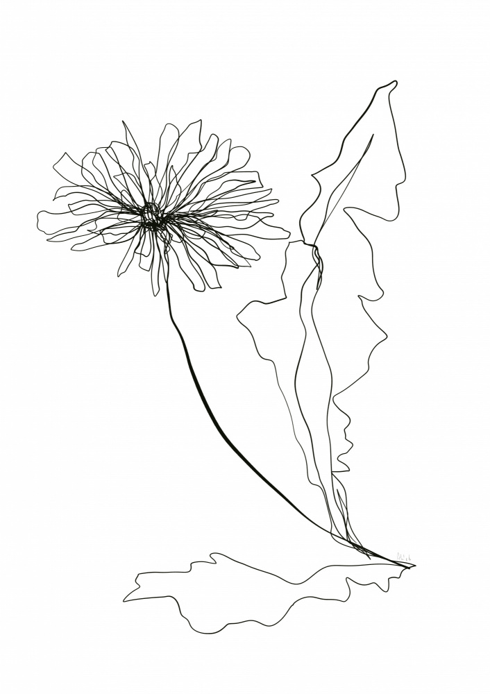 Dandelion Line Art by Ankie Kooi — canvas wall art
