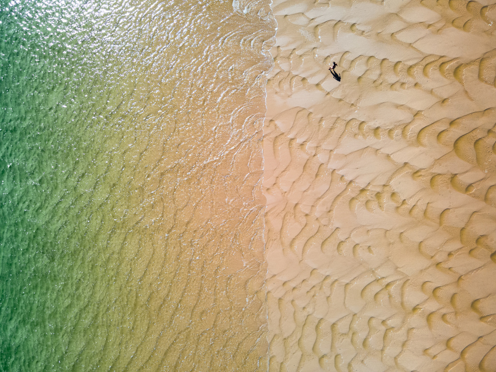 Aerial Beach Walk by Anna Kirchner — canvas wall art