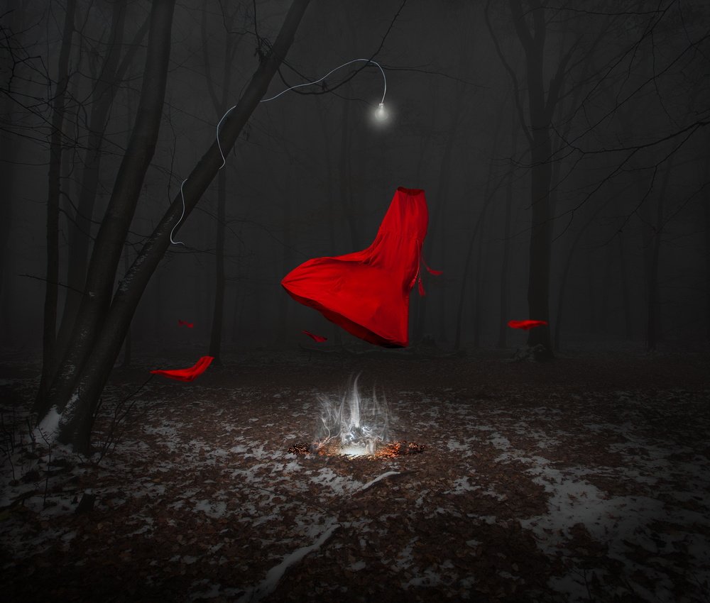 Enchanted Forest Red Cloak by Martin Marcisovsky — canvas wall art