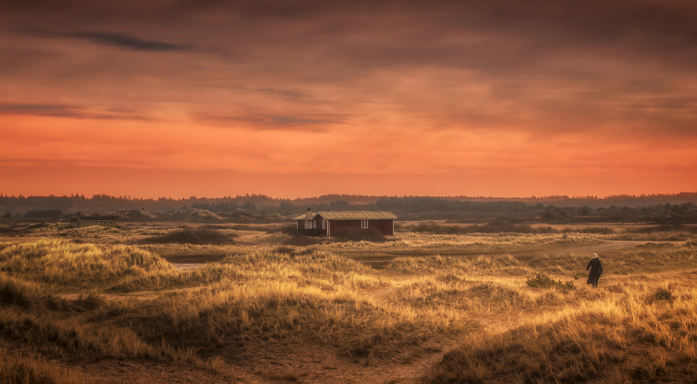 Golden Dunes Red House by Ole Moberg Steffensen — canvas wall art